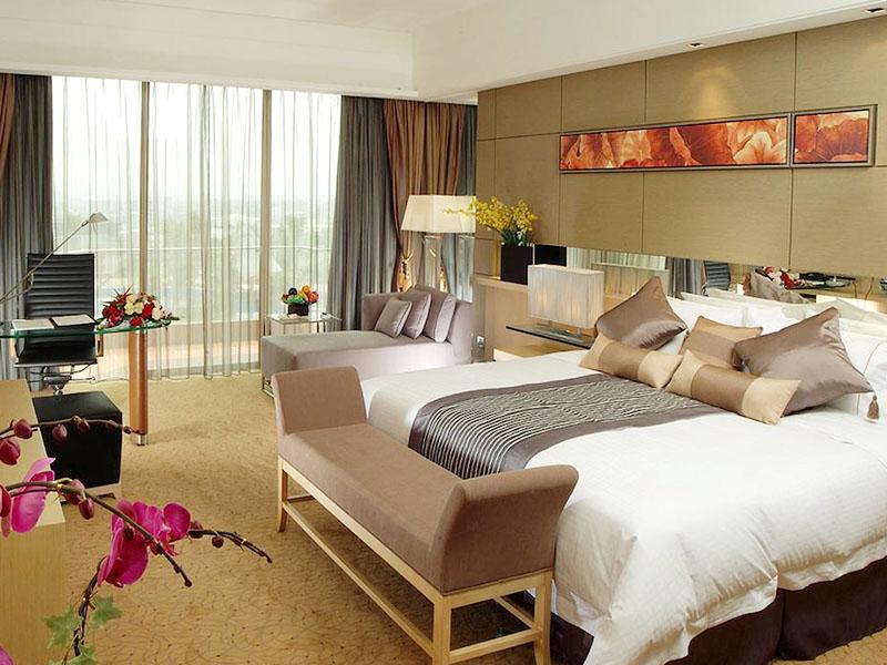 東莞陽光網新聞