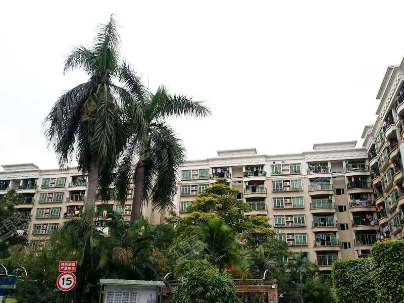 東莞二手房交易流程