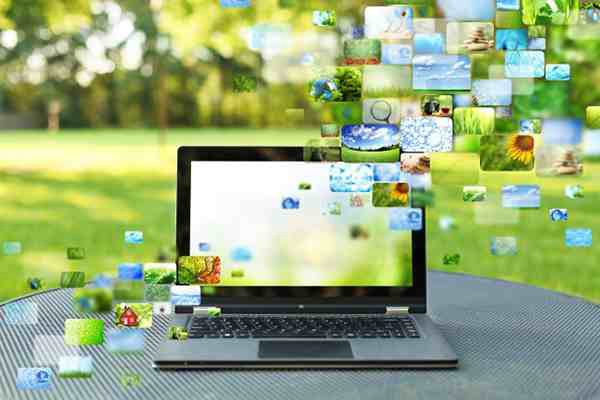 【大樹SEO】什么是好的SEO網站內容？如何填寫高質量內容