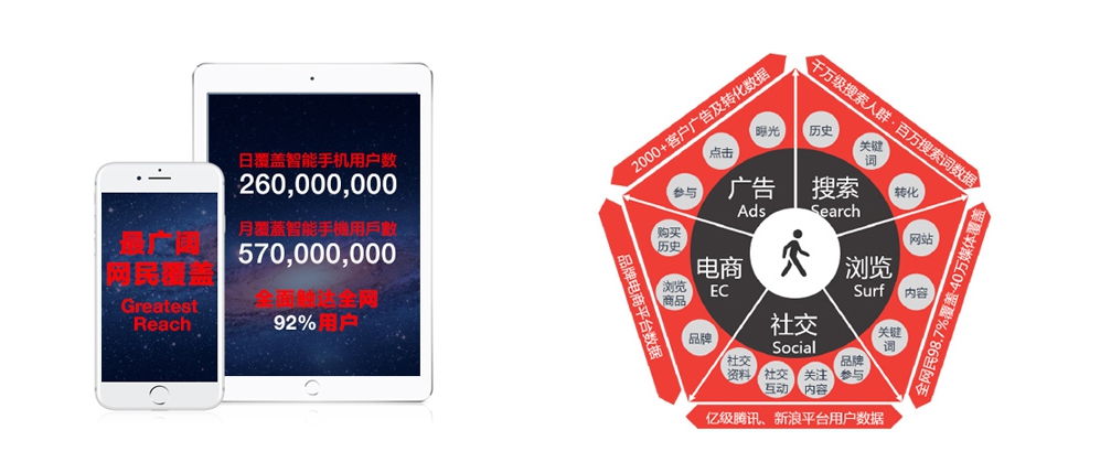 【新埔網站建設】網站制作是由哪些組織和結構組成的？