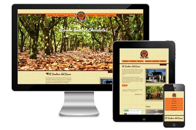 【望安網站建設】網站建設有哪些工具軟件？分別有什么作用？