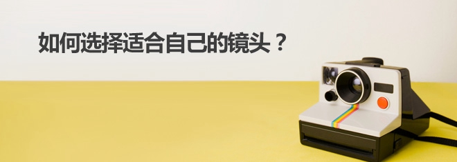 【哈密SEO】有哪些網站培養方法？淺談SEO的網站培養方法