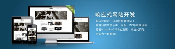 【秦州網站建設】網站域名主要有哪些類型？域名類型的介紹